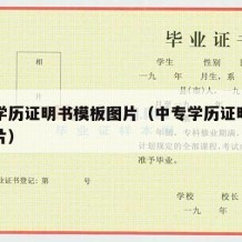 中专学历证明书模板图片（中专学历证明书样本图片）