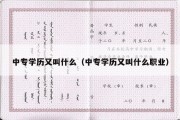 中专学历又叫什么（中专学历又叫什么职业）