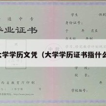 大学学历文凭（大学学历证书指什么）