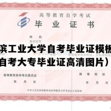 哈尔滨工业大学自考毕业证模板（黑龙江自考大专毕业证高清图片）