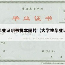 大学毕业证明书样本图片（大学生毕业证明模板）