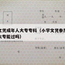 小学文凭成年人大专专科（小学文凭参加成人高考大专能过吗）