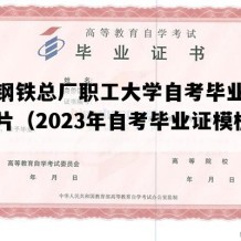 涟源钢铁总厂职工大学自考毕业证模板图片（2023年自考毕业证模板）