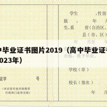 高中毕业证书图片2019（高中毕业证书图片2023年）