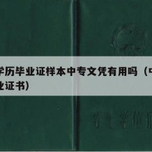 中专学历毕业证样本中专文凭有用吗（中专学历毕业证书）