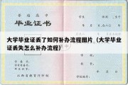 大学毕业证丢了如何补办流程图片（大学毕业证丢失怎么补办流程）