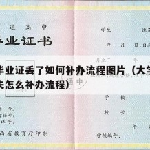 大学毕业证丢了如何补办流程图片（大学毕业证丢失怎么补办流程）