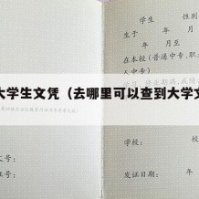 查找大学生文凭（去哪里可以查到大学文凭真假）