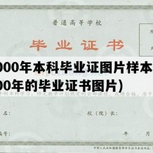 2000年本科毕业证图片样本(2000年的毕业证书图片)