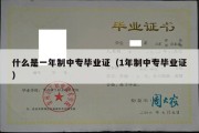 什么是一年制中专毕业证（1年制中专毕业证）