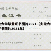 安徽大学毕业证书图片2021（安徽大学毕业证书图片2021年）