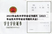 2023年山东大学毕业证书图片（2023年山东大学毕业证书图片大全）