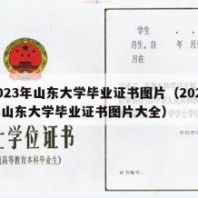 2023年山东大学毕业证书图片（2023年山东大学毕业证书图片大全）