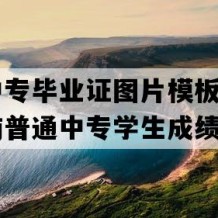 津市中专毕业证图片模板(2018年湖南普通中专学生成绩单）