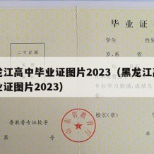 黑龙江高中毕业证图片2023（黑龙江高中毕业证图片2023）