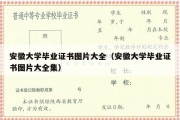 安徽大学毕业证书图片大全（安徽大学毕业证书图片大全集）