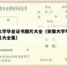 安徽大学毕业证书图片大全（安徽大学毕业证书图片大全集）