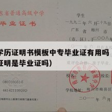 中专学历证明书模板中专毕业证有用吗（中专学历证明是毕业证吗）