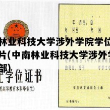 中南林业科技大学涉外学院学位证高清图片(中南林业科技大学涉外学院学工部)