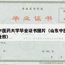 山东中医药大学毕业证书图片（山东中医药大学毕业照）