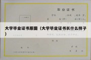 大学毕业证书原图（大学毕业证书长什么样子）