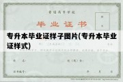 专升本毕业证样子图片(专升本毕业证样式)