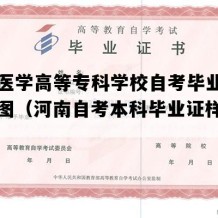 南阳医学高等专科学校自考毕业证高清样图（河南自考本科毕业证样本图片）