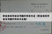 职业本科毕业证书图片样本大全（职业本科毕业证书图片样本大全集）