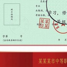 忠县中专毕业证模板图片(2008年重庆普通中专补办流程）