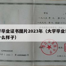 大学毕业证书图片2023年（大学毕业证书长什么样子）