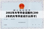 2002年大专毕业证图片(2002年的大专毕业证什么样子)