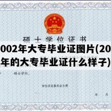 2002年大专毕业证图片(2002年的大专毕业证什么样子)