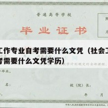 社会工作专业自考需要什么文凭（社会工作专业自考需要什么文凭学历）