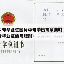 河南中专毕业证图片中专学历可以用吗（河南省中专毕业证编号规则）