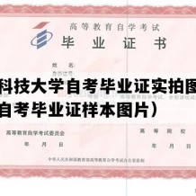 西安科技大学自考毕业证实拍图片（陕西自考毕业证样本图片）