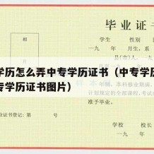 中专学历怎么弄中专学历证书（中专学历怎么弄中专学历证书图片）