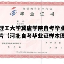 华北理工大学冀唐学院自考毕业证实拍图片（河北自考毕业证样本图片）