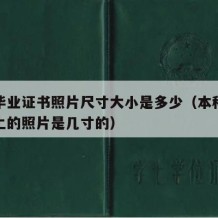 本科毕业证书照片尺寸大小是多少（本科毕业证书上的照片是几寸的）