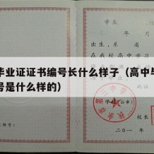 高中毕业证证书编号长什么样子（高中毕业证书编号是什么样的）