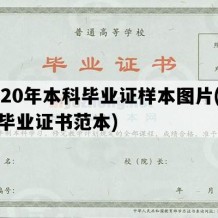 2020年本科毕业证样本图片(本科毕业证书范本)