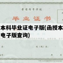 函授本科毕业证电子版(函授本科毕业证电子版查询)