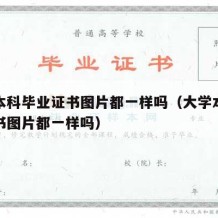 大学本科毕业证书图片都一样吗（大学本科毕业证书图片都一样吗）