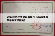 2023年大学毕业证书图片（2020年大学毕业证书图片）