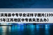 滨海县中专毕业证样子图片(1995年江苏地区中专丢失怎么办）