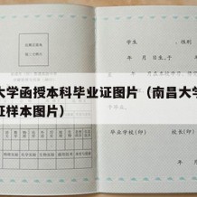 南昌大学函授本科毕业证图片（南昌大学函授毕业证样本图片）