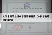 大学本科毕业证书学历证书图片（本科毕业证书的图片）