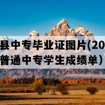 霞浦县中专毕业证图片(2010年福建普通中专学生成绩单）