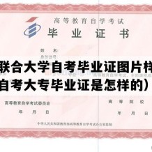 北京联合大学自考毕业证图片样本（北京自考大专毕业证是怎样的）