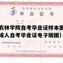 信阳农林学院自考毕业证样本图片（河南成人自考毕业证电子版图）