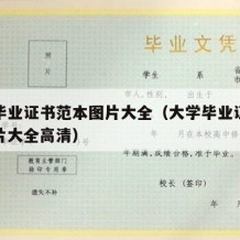 大学毕业证书范本图片大全（大学毕业证书范本图片大全高清）